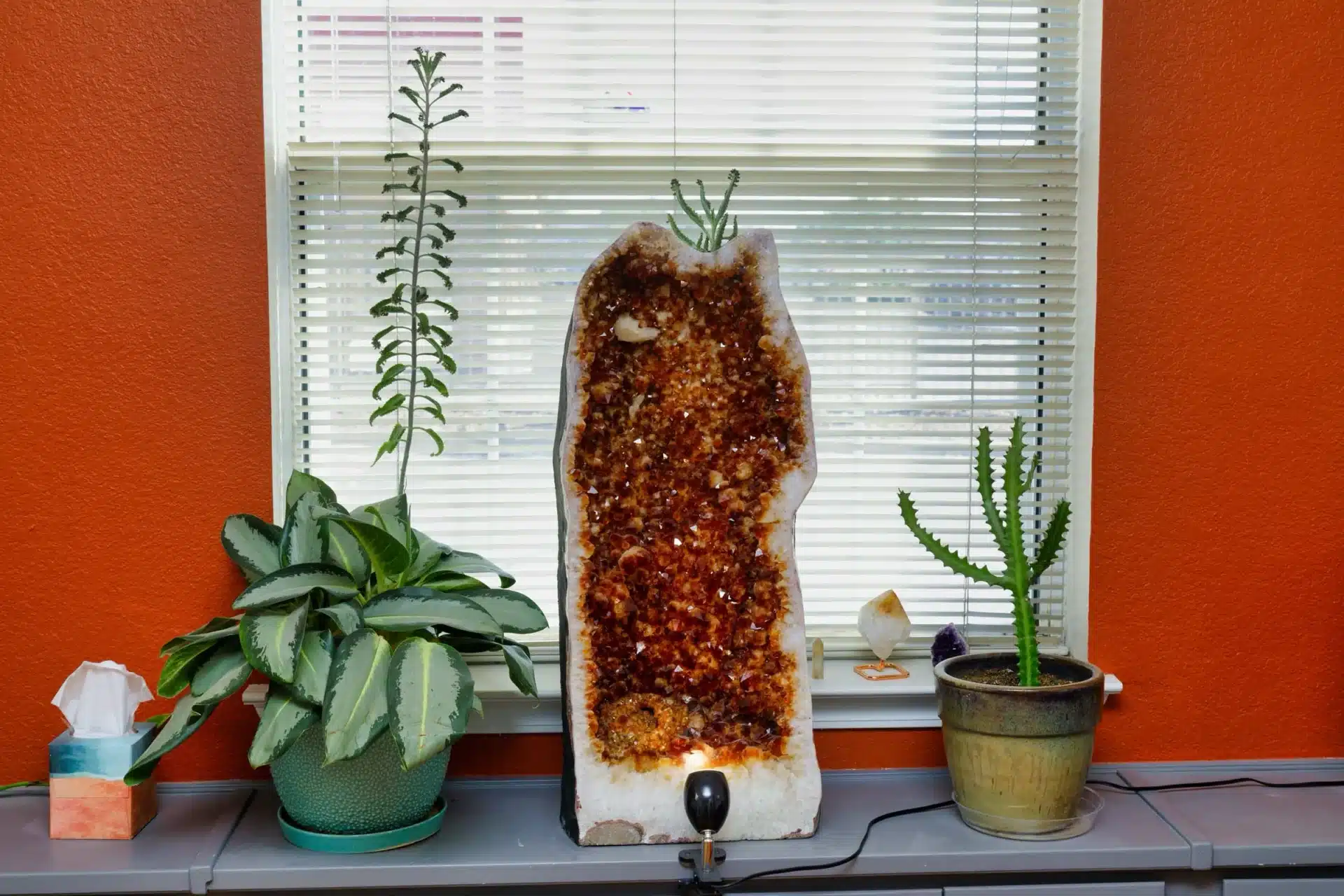 Close up of office window with plants and red crystal decor