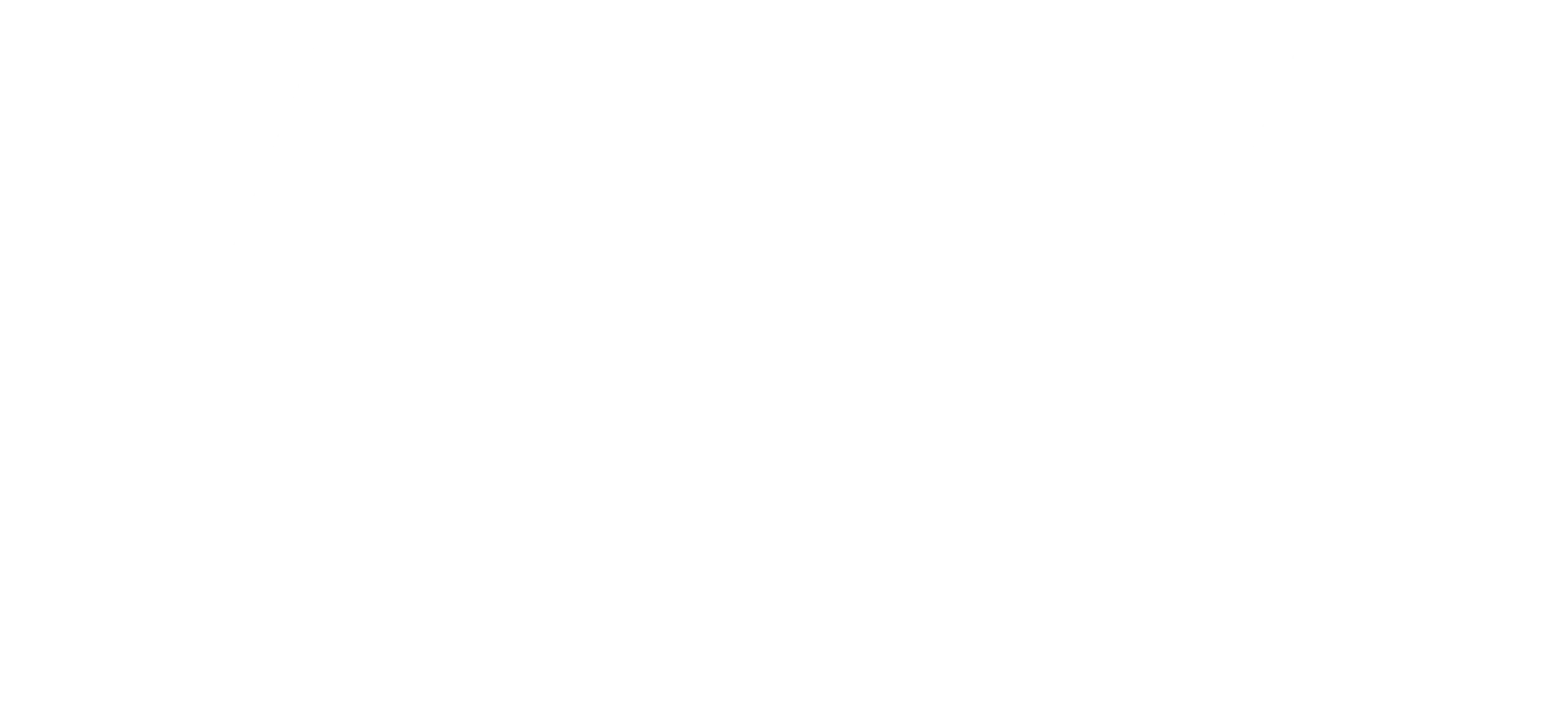 ALA Bioenergetic Treatment logo