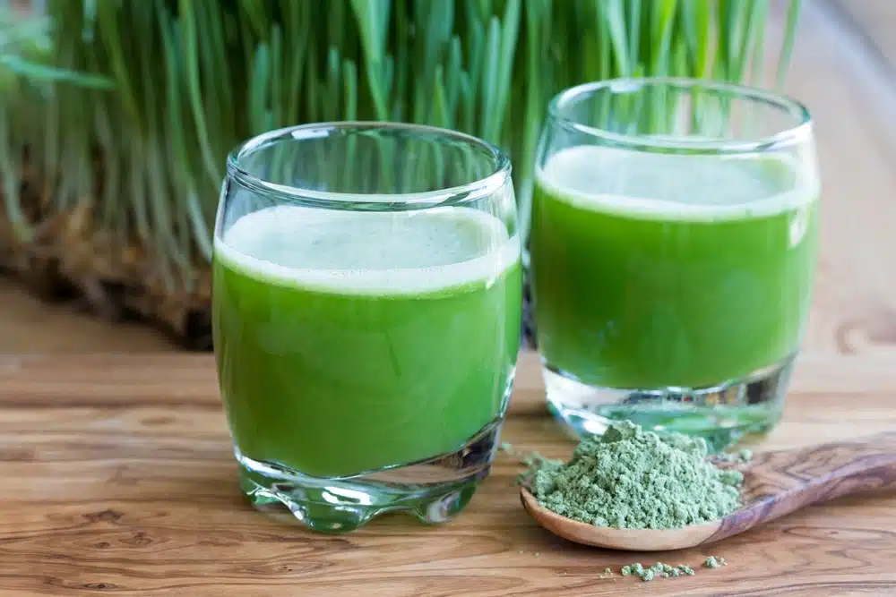 close-up of 2 green smoothies in short cocktail glasses with a spoonful of green powder in front